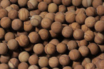 Kamienie Jaspis Drzewny 7822kp 8mm 1sznur