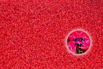 TOHO TR-11-979 Neon Pink 100g