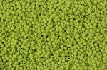 TOHO TR-11-44F Opaque-Frosted Sour Apple 100g